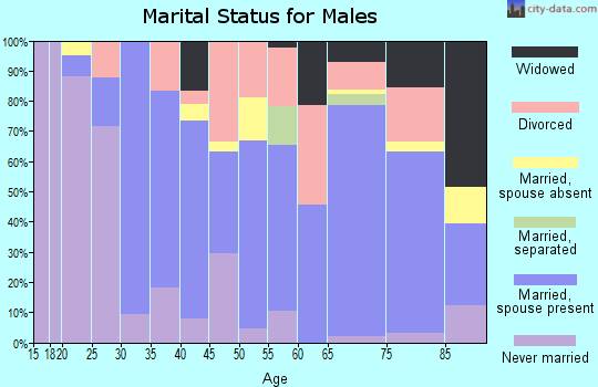 Zip code 38001 marital status for males