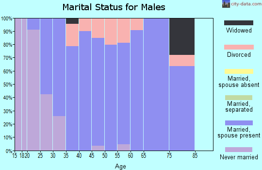 Zip code 38004 marital status for males