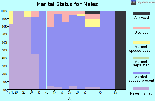 Zip code 38028 marital status for males