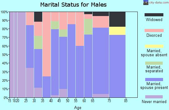 Zip code 38040 marital status for males