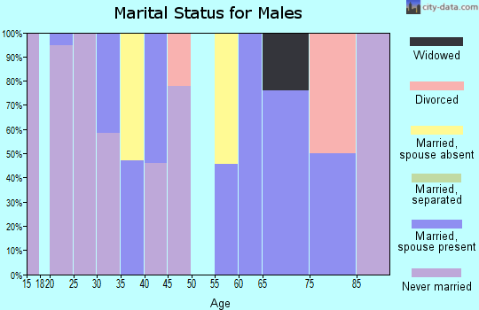 Zip code 38042 marital status for males