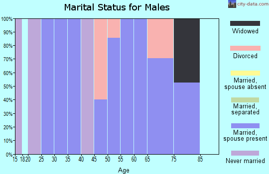 Zip code 38044 marital status for males