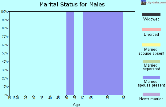 Zip code 38046 marital status for males