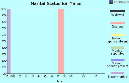 Zip code 38047 marital status for males