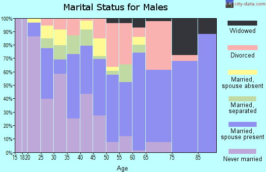 Zip code 38049 marital status for males