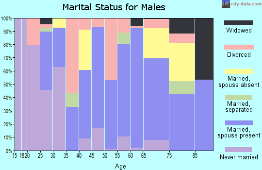 Zip code 38052 marital status for males