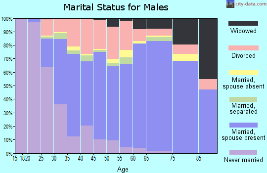 Zip code 38053 marital status for males