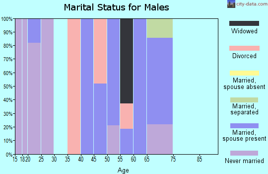 Zip code 38061 marital status for males