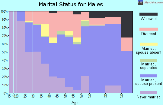 Zip code 38063 marital status for males