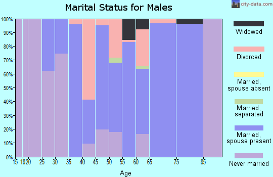Zip code 38066 marital status for males