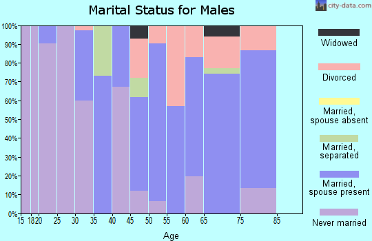 Zip code 38069 marital status for males