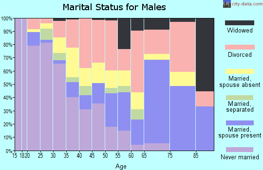 Zip code 38075 marital status for males