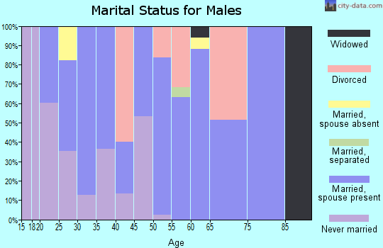 Zip code 38076 marital status for males