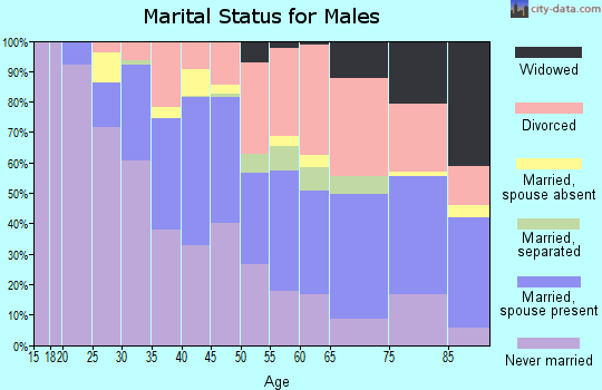 Zip code 38104 marital status for males