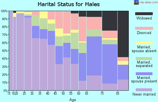 Zip code 38106 marital status for males