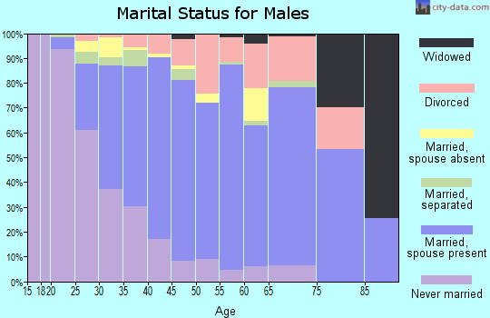Zip code 38125 marital status for males