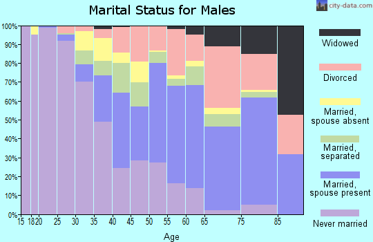 Zip code 38127 marital status for males