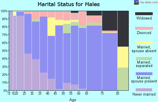 Zip code 38133 marital status for males