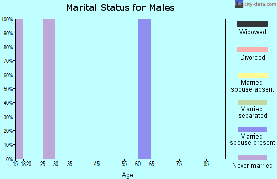 Zip code 38157 marital status for males