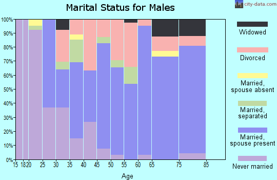 Zip code 38230 marital status for males