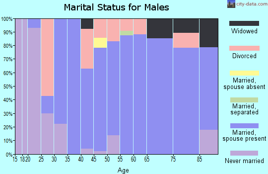 Zip code 38233 marital status for males