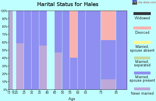 Zip code 38235 marital status for males