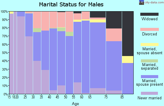 Zip code 38237 marital status for males