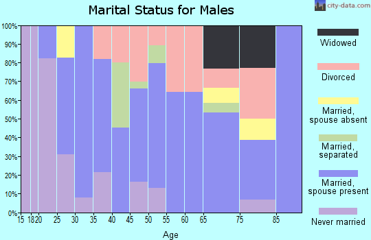 Zip code 38240 marital status for males