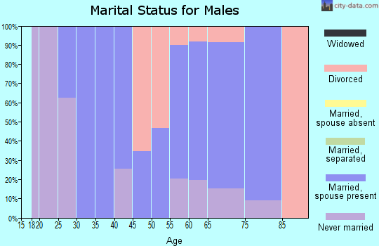 Zip code 38241 marital status for males