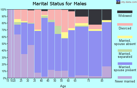 Zip code 38242 marital status for males