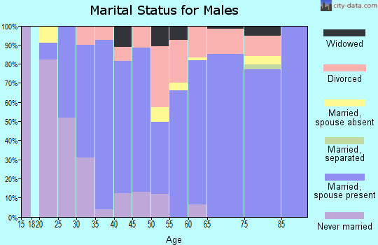Zip code 38251 marital status for males