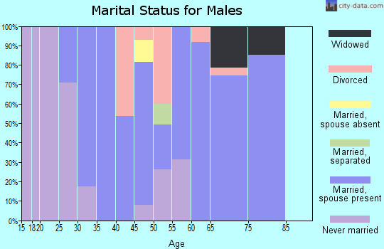 Zip code 38253 marital status for males