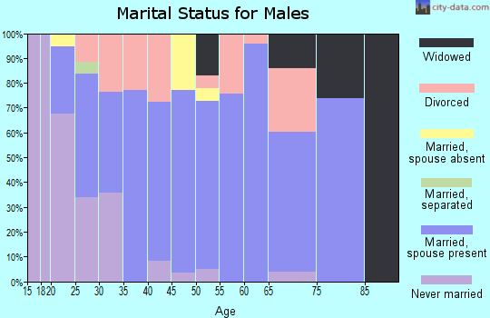 Zip code 38255 marital status for males