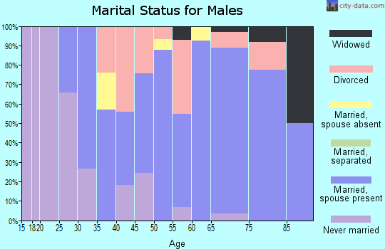 Zip code 38256 marital status for males