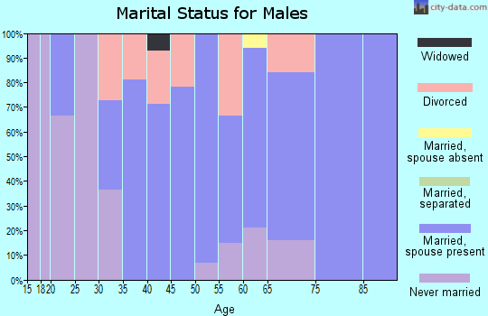 Zip code 38259 marital status for males