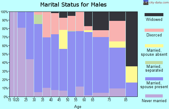 Zip code 38260 marital status for males