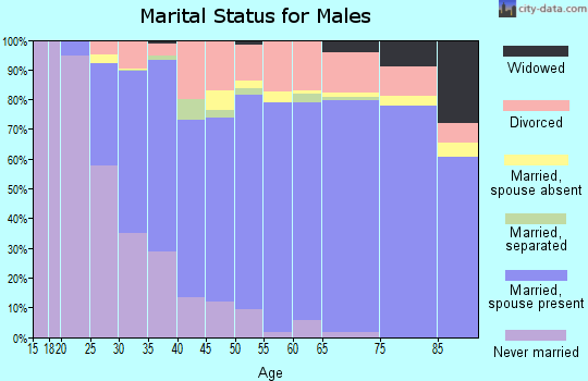 Zip code 38305 marital status for males
