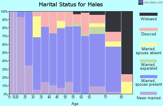 Zip code 38310 marital status for males