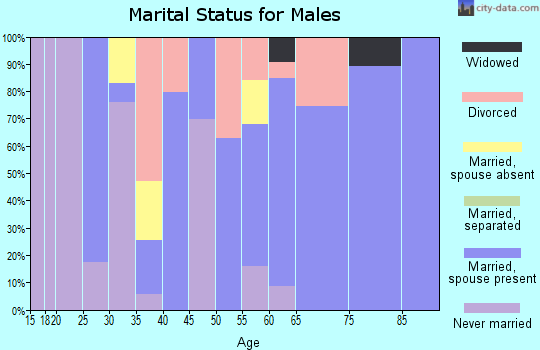 Zip code 38326 marital status for males