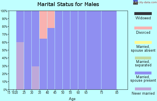 Zip code 38328 marital status for males