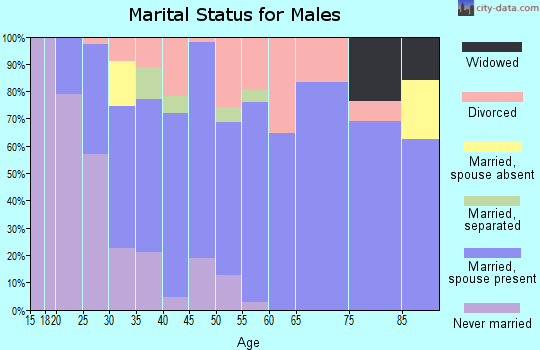 Zip code 38330 marital status for males