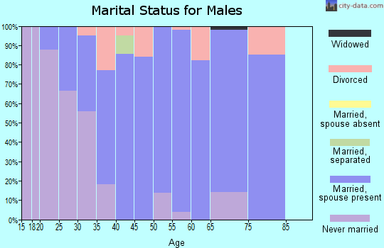Zip code 38334 marital status for males