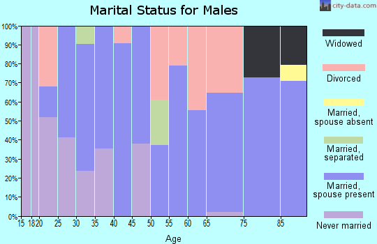 Zip code 38337 marital status for males