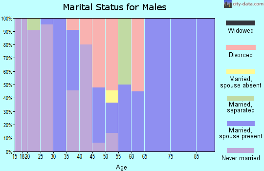 Zip code 38339 marital status for males