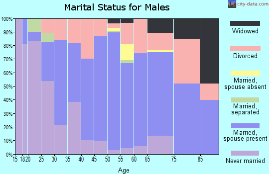 Zip code 38340 marital status for males