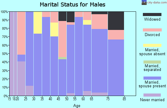 Zip code 38342 marital status for males