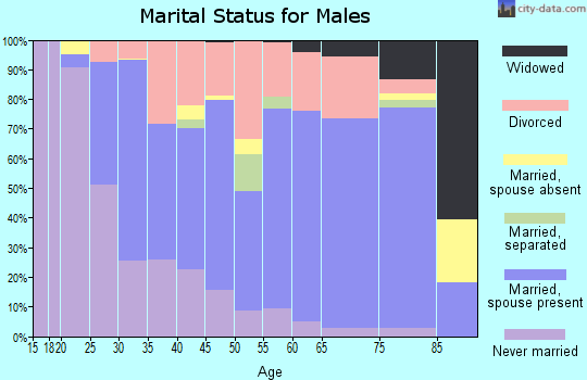 Zip code 38343 marital status for males