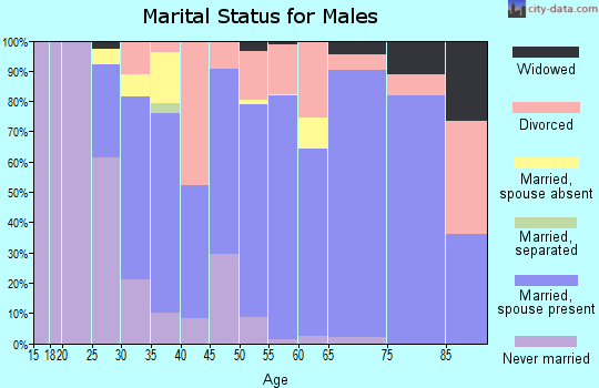 Zip code 38344 marital status for males