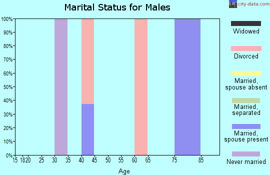 Zip code 38347 marital status for males