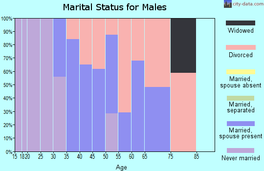 Zip code 38348 marital status for males